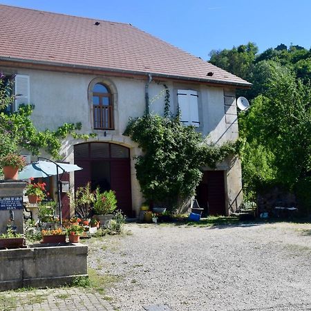 Spacious Apartment In Old Farm Close To Lac De Vouglans La Tour-du-Meix 외부 사진
