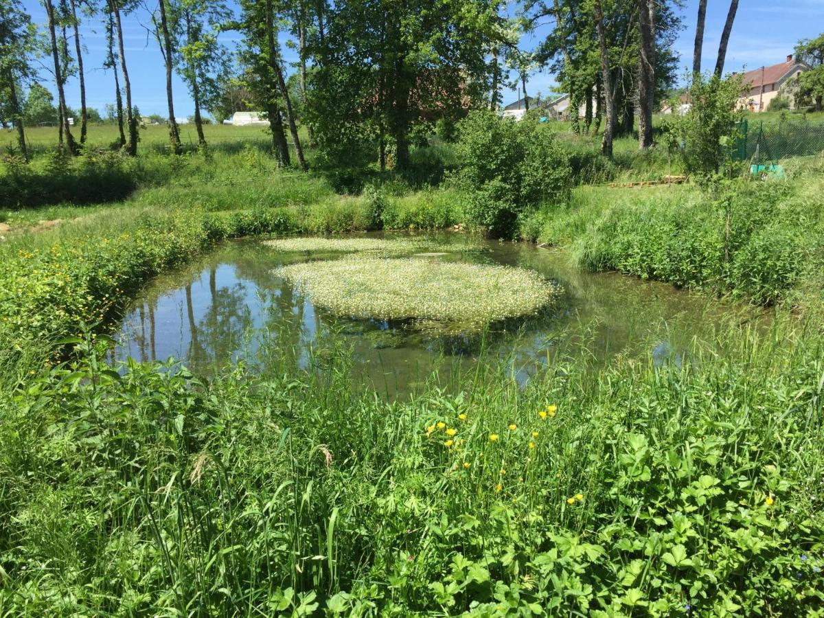 Spacious Apartment In Old Farm Close To Lac De Vouglans La Tour-du-Meix 외부 사진
